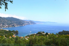 Andromeda Flexyrent Rapallo